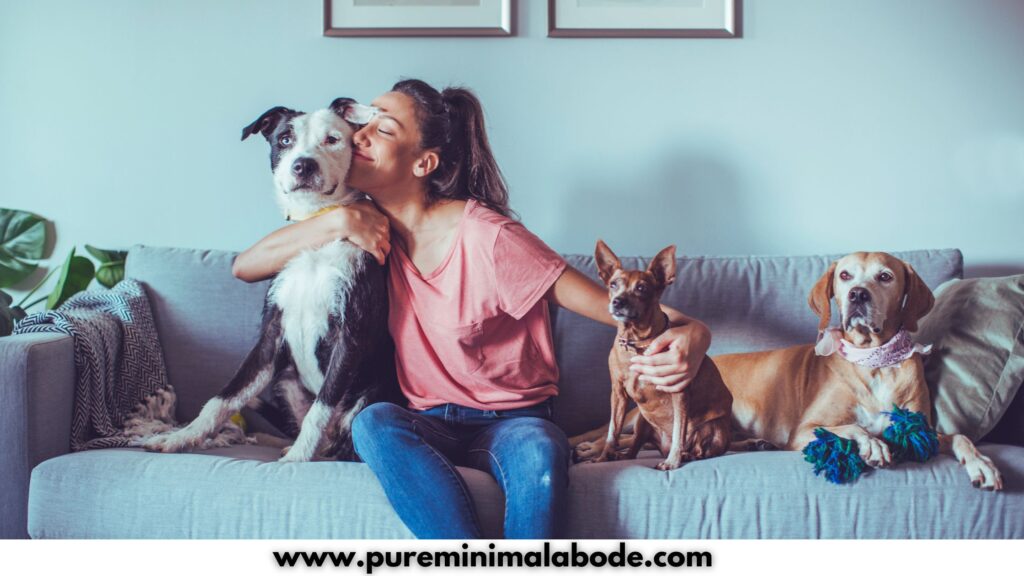Pet Sitting Summer side hustle Pet Sitting Summer side hustle