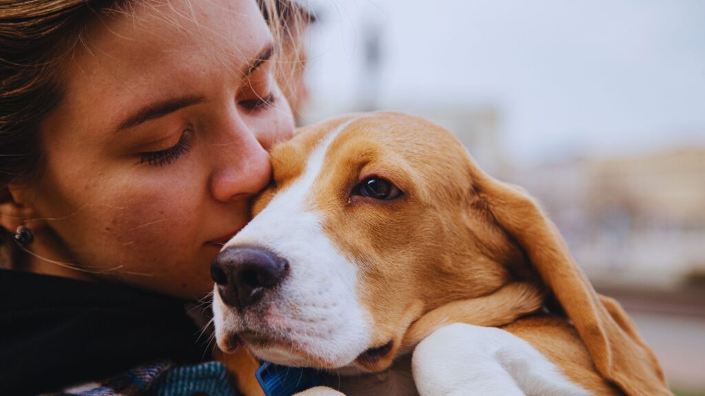 small business ideas for pet lovers small business ideas for pet lovers